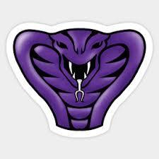 Team Page: Center Gate Purple Cobra's